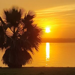 Meet your Posher, Jena! I love sharing items & things I have loved! #shareit